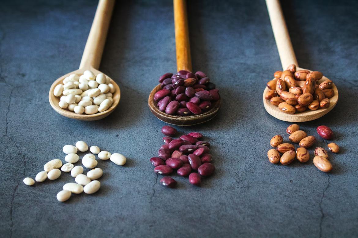 Food supplies supplier image